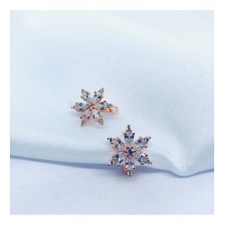 925 Ayar Lotus Çiçeği Kadın Gümüş Hediyelik Küpe 925 Ayar Lotus Çiçeği Kadın Gümüş Hediyelik Küpe