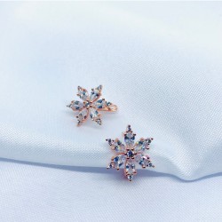 925 Ayar Lotus Çiçeği Kadın Gümüş Hediyelik Küpe 925 Ayar Lotus Çiçeği Kadın Gümüş Hediyelik Küpe