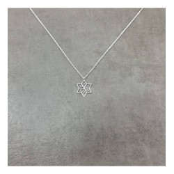 925 Ayar Şans Çiçeği Gümüş Hediyelik Kadın Kolye 925 Ayar Şans Çiçeği Gümüş Hediyelik Kadın Kolye