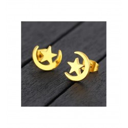 Ay Yıldız Model 925 Ayar Gümüş Hediyelik Küpe