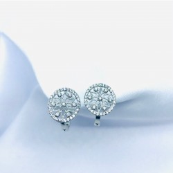 Kar Tanesi Gümüş Küpe