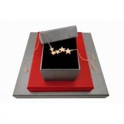 Sıra Yıldız Şıklığı Gümüş Kolye 